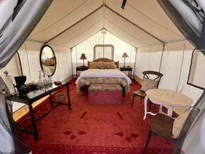 Cosmo Glamping Tent at Zenzen Gardens